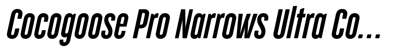 Cocogoose Pro Narrows Ultra Compressed Semilight Italic